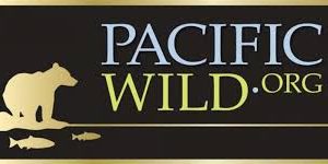 Pacific Wild